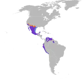 Distribución del género Pyrocephalus en América continental. También vive en las islas Galápagos.