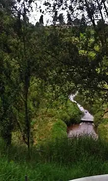 río Guadalupe en el paraje San Juan, cerca al nacimiento