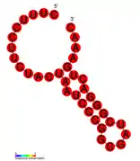 CRISPR-DR52: Estructura secundaria tomada de la base de datos Rfam Familia RF01365.