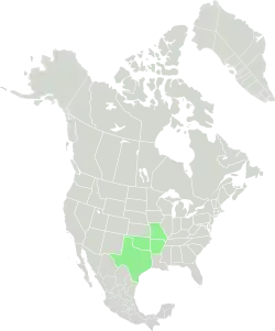 Current range of S. ampullaceus.
