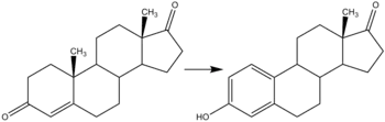 Conversión de androstendiona en estrona