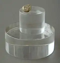 El diente de leche conocido como Niño de Orce es probablemente el resto fósil de Europa occidental más antiguo, 1,4&nbsp;Ma, y perteneció a un Homo sin especie asignada. Se encontró junto a restos de industria lítica y acumulación de comida de hienas gigantes.