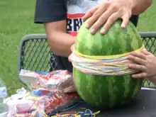 Goma elástica