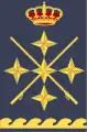 Hombrera decapitán general del Aire