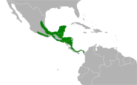 Distribución geográfica del pepitero cabecinegro.