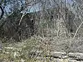 Estación de tren abandonada en Yaxnic.