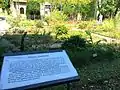 Hortus Sanitatis.