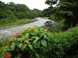 Río Sarapiquí