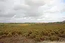 Cola del Embalse de Bornos