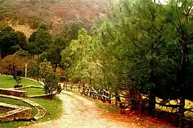 Sierra Fría, San José de Gracia