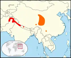 Distribución aproximada de Sitta leucopsis. Distribución aproximada de Sitta przewalskii.