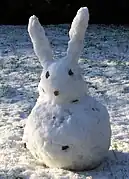 Conejo de nieve