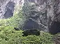 Dolina de la cueva de Sơn Đoòng.