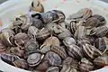 Las vaquetas son el tipo de caracol más frecuentemente utilizado