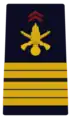 Coronel del Ejército de Tierra