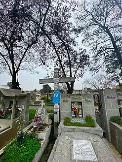 Pamela Andrea Toledo Ortiz, “Pamelita”, chilena que, a sus doce años de vida, decidió donar sus órganos con la intención de seguir viviendo en otros, lo que ayudó a generar conciencia de las bondades del acto voluntario de donar.