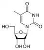 Chemical structure of thymidine