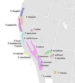 Distribución geográfica de especies de Timema en Norteamérica (Law & Crespi, 2002). T. morongense se encuentra al oeste de T. chumash pero no se conoce su distribución total.Jennifer H. Law & Bernard J. Crespi (2002). «The evolution of geographic parthenogenesis in Timema walking-sticks». Molecular Ecology (Blackwell Science Ltd.) 11 (8): 1471-1489. PMID 12144667. S2CID 45314005. doi:10.1046/j.1365-294x.2002.01547.x.