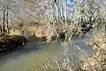 Detalle de Las Ajuntas en Torrebaja (Valencia), donde el río Ebrón rinde sus aguas al Turia (2021).