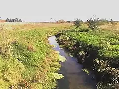 Arroyo de la Cañada Pantanosa, tributario del Río Matanza.