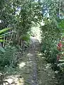 Empedramiento tradicional de un camino antiguo