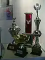 Trofeos Museo del Deporte