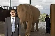 Un hombre con un elefante marrón rosado detrás