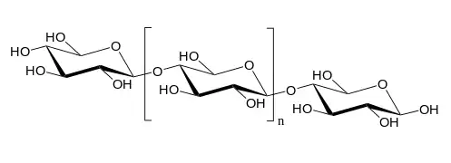 Xilooligosacáridos (XOS)