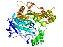 Estructura tridimensional de una acetilcolinesterasa