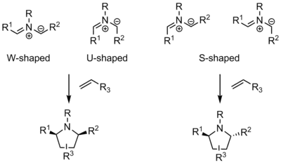 Azomethine ylide shapes