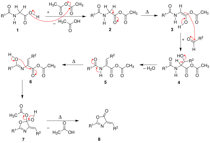 Mecanismo de la síntesis de aminoácidos de Erlenmeyer