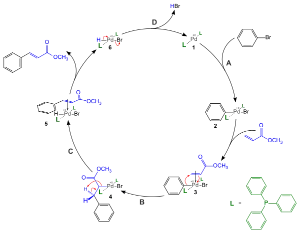 Heck Reaction Mechanism