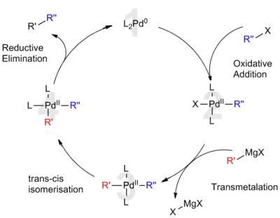 Accepted catalytic cycle for Kumada cross coupling reaction