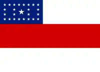 Bandera de Amazonas