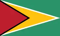 Bandera de Guyana