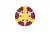 Bandera de Kioto