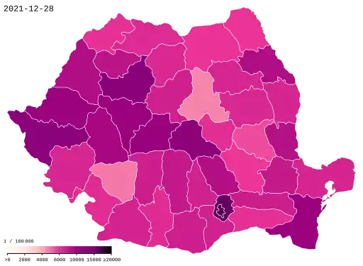 325xpx