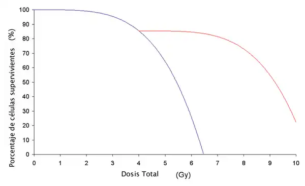 Este es un gráfico que muestra el efecto de fraccionar la capacidad de los rayos gama para producir la muerte celular. La línea azul es para las células que no tuvieron un período de recuperación,  mientras que la línea roja es de las células que tuvieron un período de descanso y recuperación.