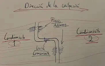 Disco intercalar