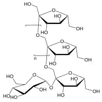 Fructooligosacáridos (FOS), ej. inulina