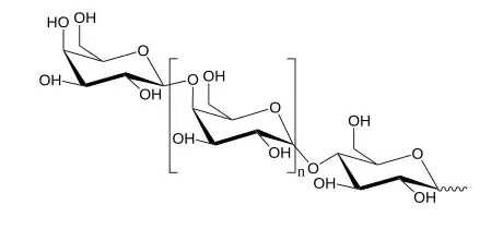 Galactooligosacáridos (GOS)