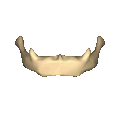 Forma del hueso hiodes.