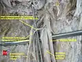 Ganglio cervical superior