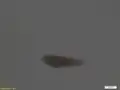 Diaphoropodon mobile