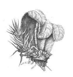 1808 Inscription.png