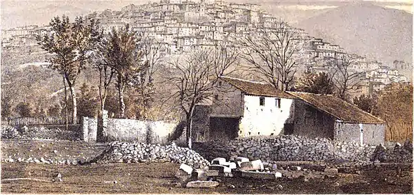 Padula