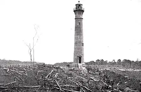 246-A Lighthouse In The Jungle.jpg