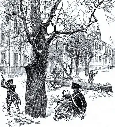 45-FELLING SHADE TREES FOR FUEL.jpg