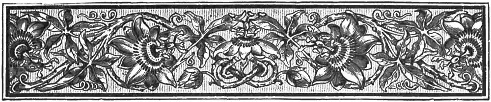 AFR V2 D011 Page header decoration.jpg