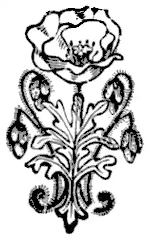 AFR V2 D012 Chapter end decoration.jpg